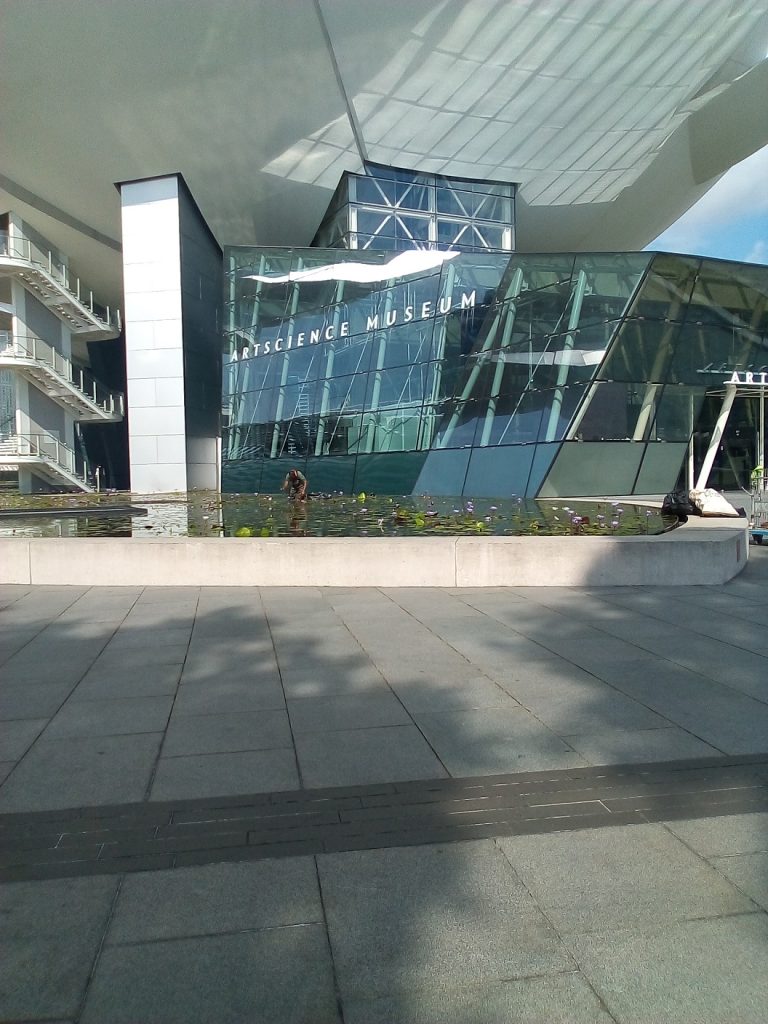 The ArtScience Museum in the Central Business Sector Singapore