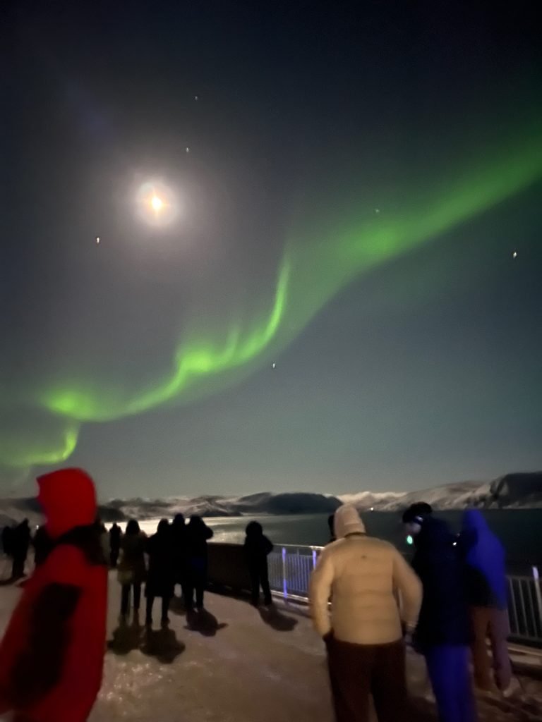 Northern Lights we saw on our recent Hurtigruten expedition in Norway