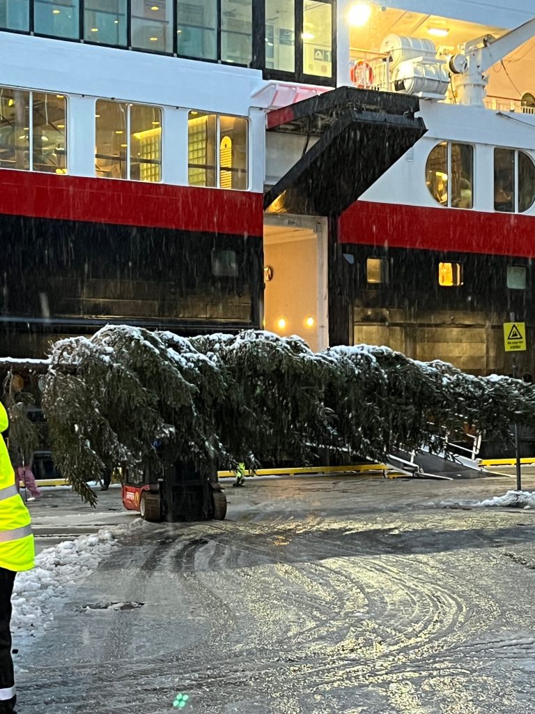 Loading Christmas tree aboard MS Trollfjord in Bronnysund