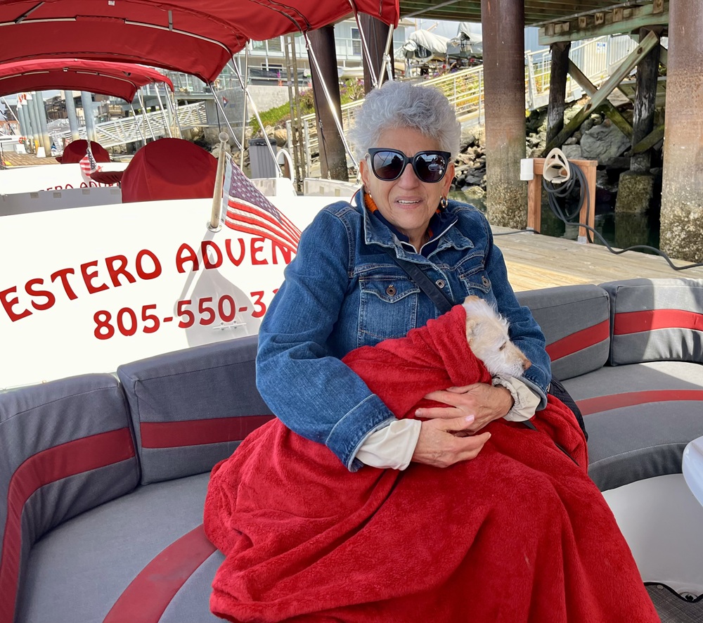 Cruising Morrow Bay in an electric boat