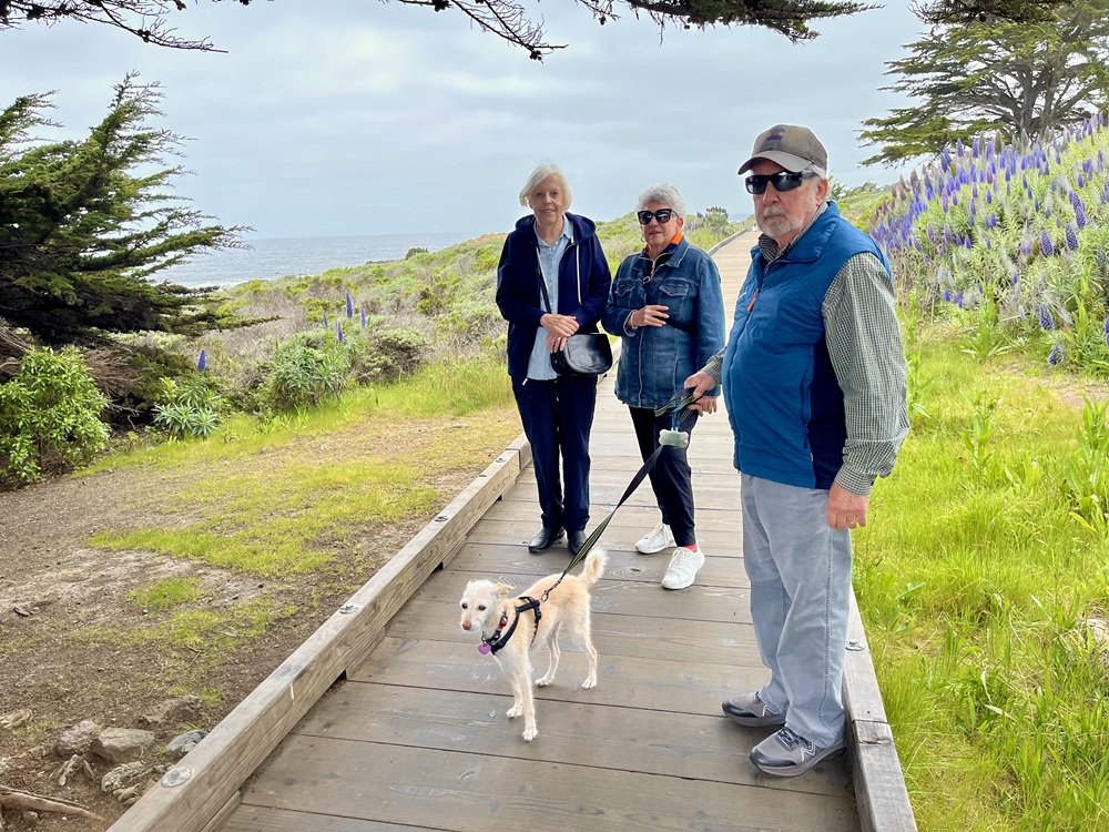 On the boardwalk in Cambria CA