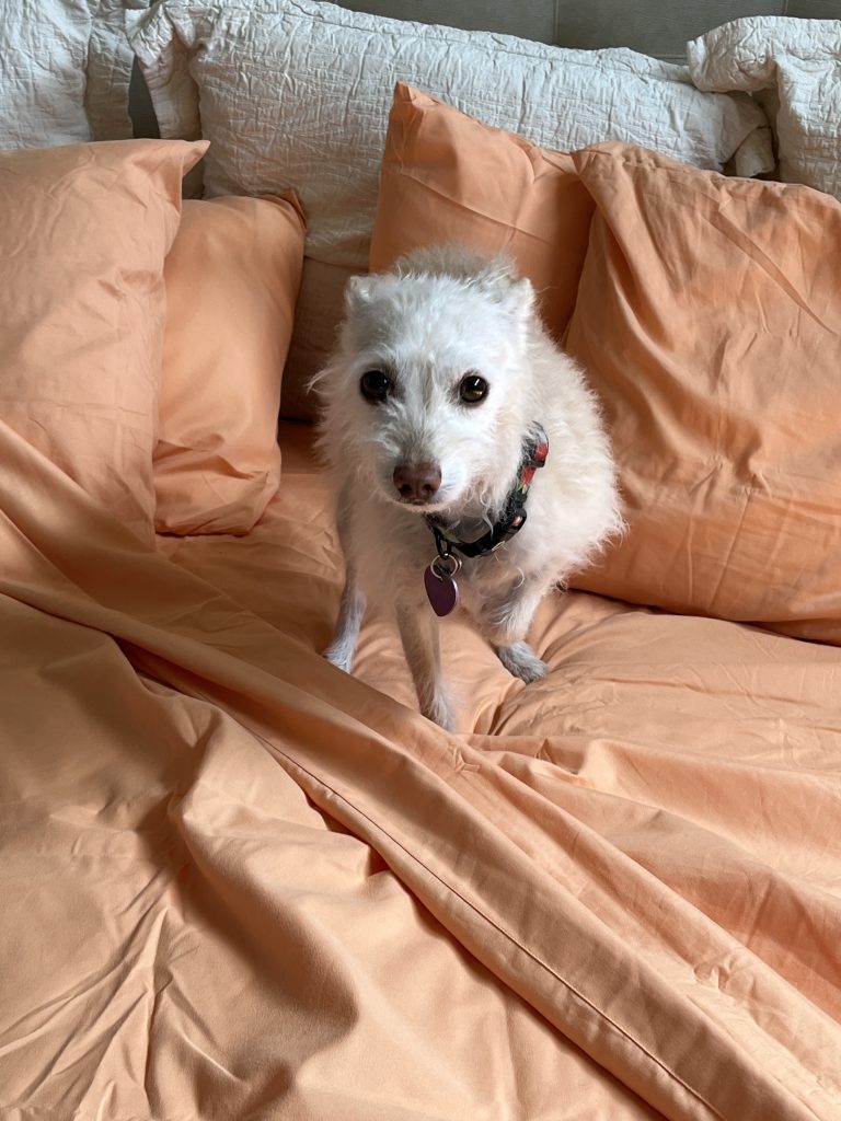 Loni loves the Peach Skin Sheets and Pillowcases