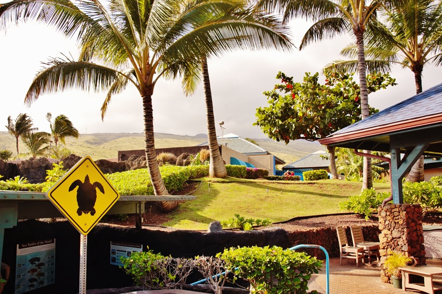 Maui Ocean Cebter in Hawaii