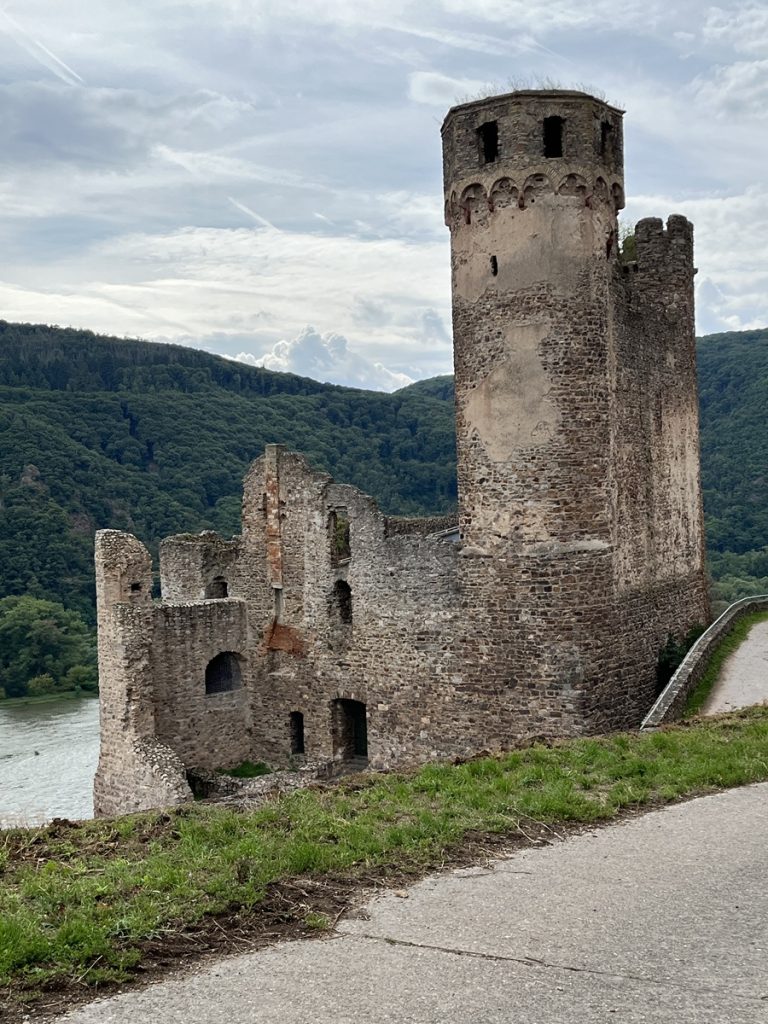Ruins of another Rhine castle seen from vineyard hiking tour