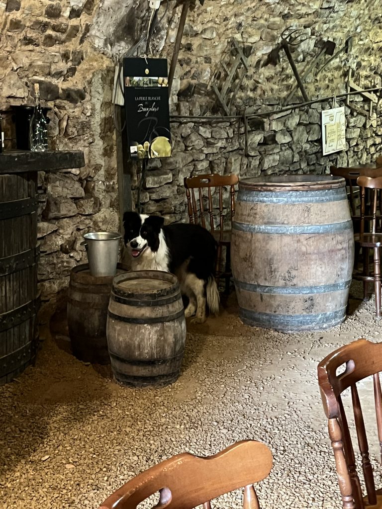 Picnic lunch during Beaujolais tour near Lyon FR