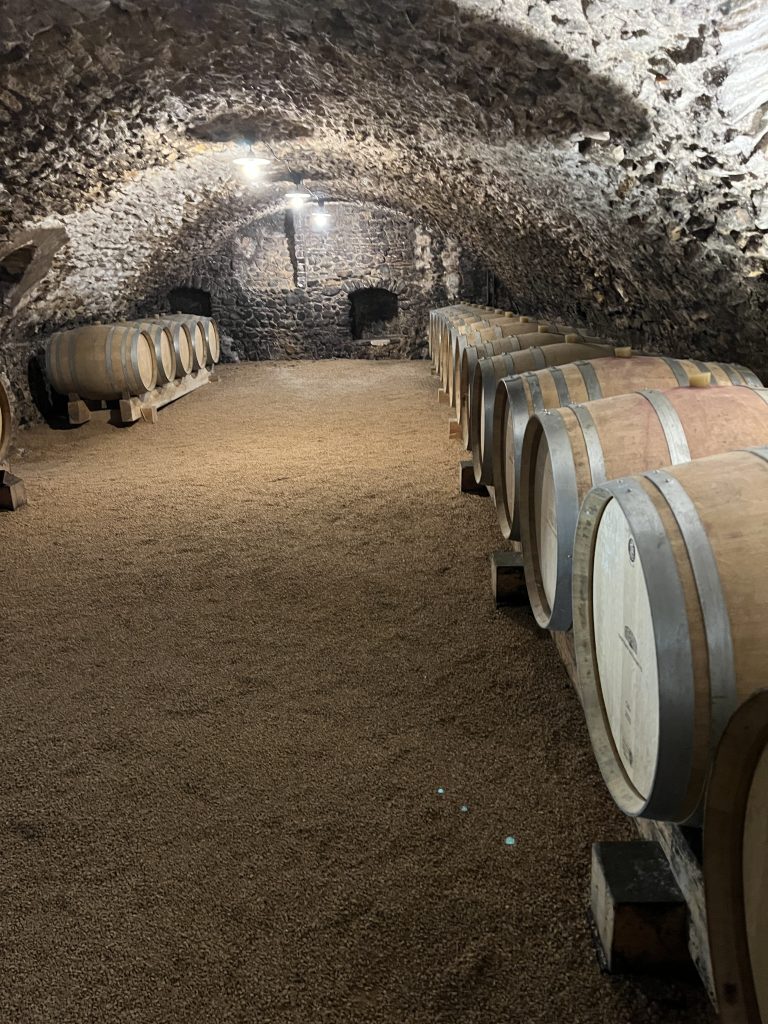 Chateau des Ravatys winery in Beaujolais Region