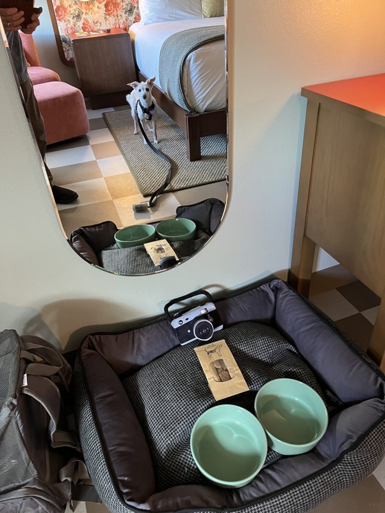 Loni eyes her new overnight digs at the ARRIVE Albuquerque Hotel