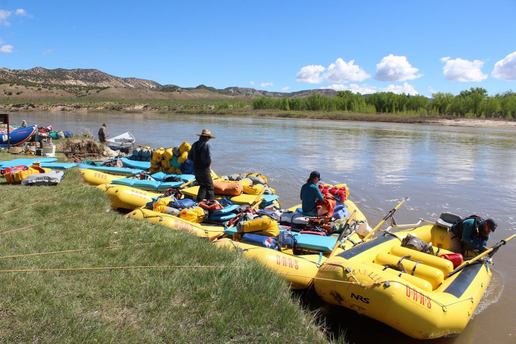 rafting dinosaur national monument