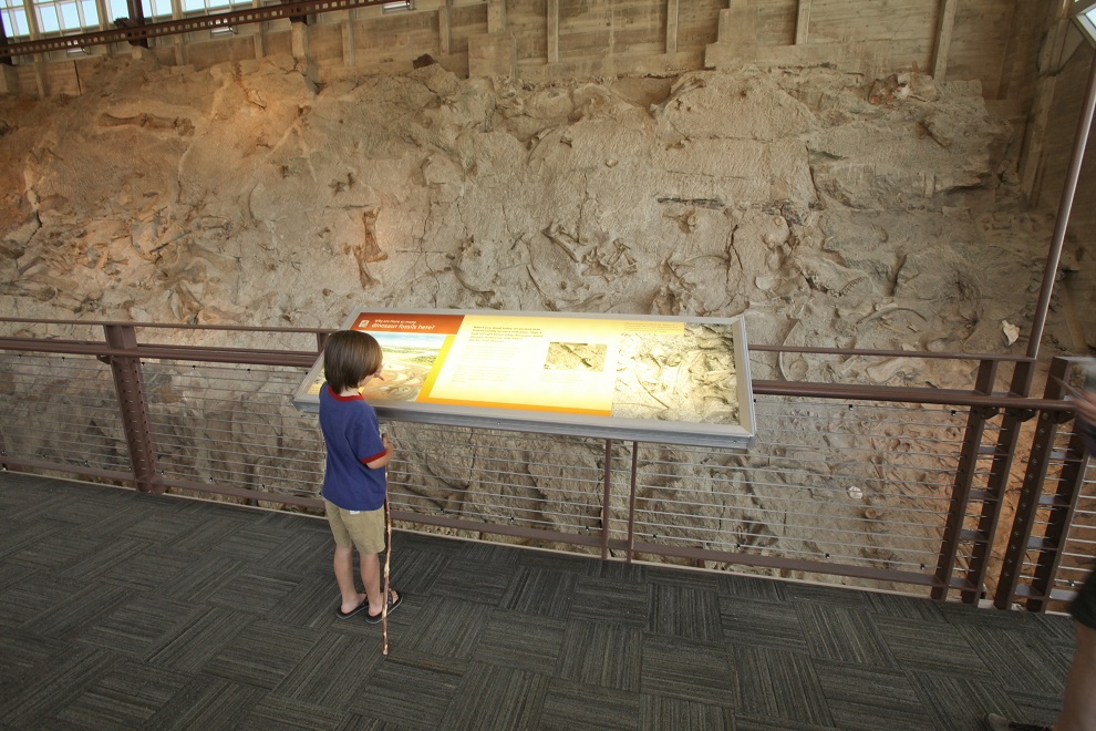 dinosaur national monument wall of bones