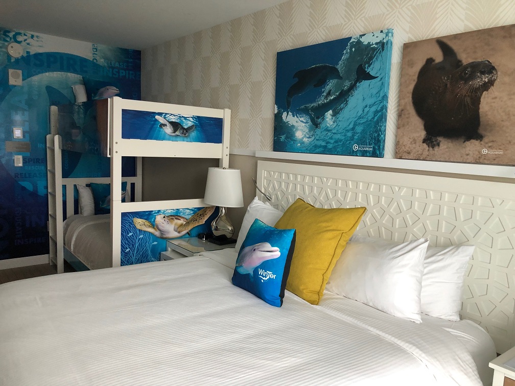 New Dolphin Themed Rooms Wyndham Grand Clearwater Beach