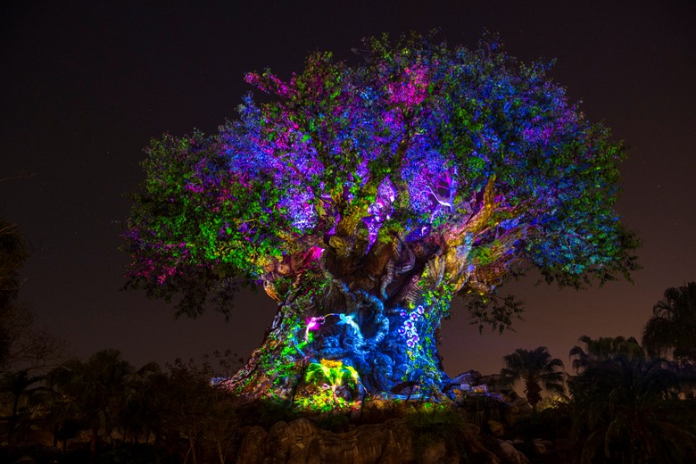 Disney’s Animal Kingdom Lights Up for Evening Adventure