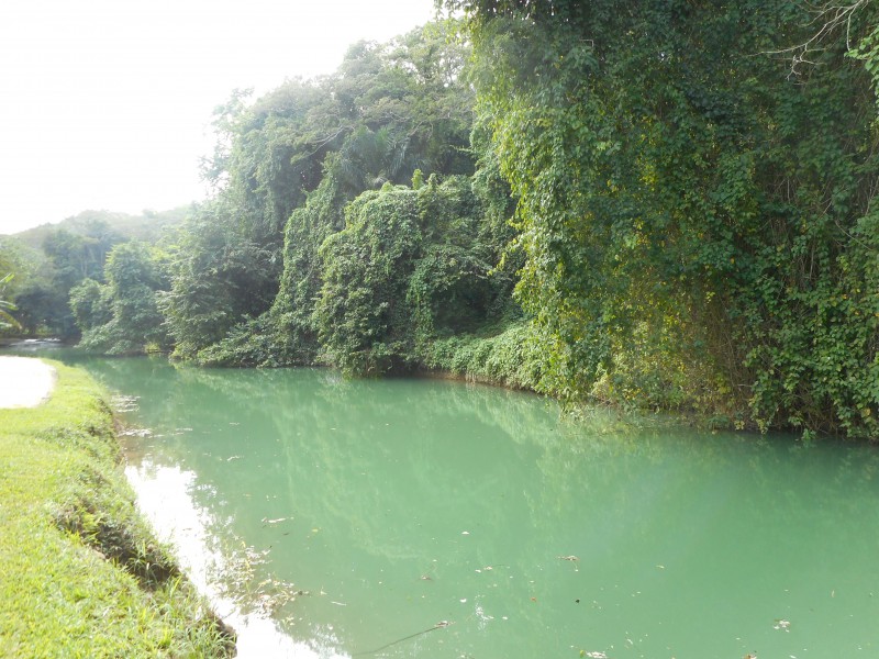 The Martha Brae River in Jamaica