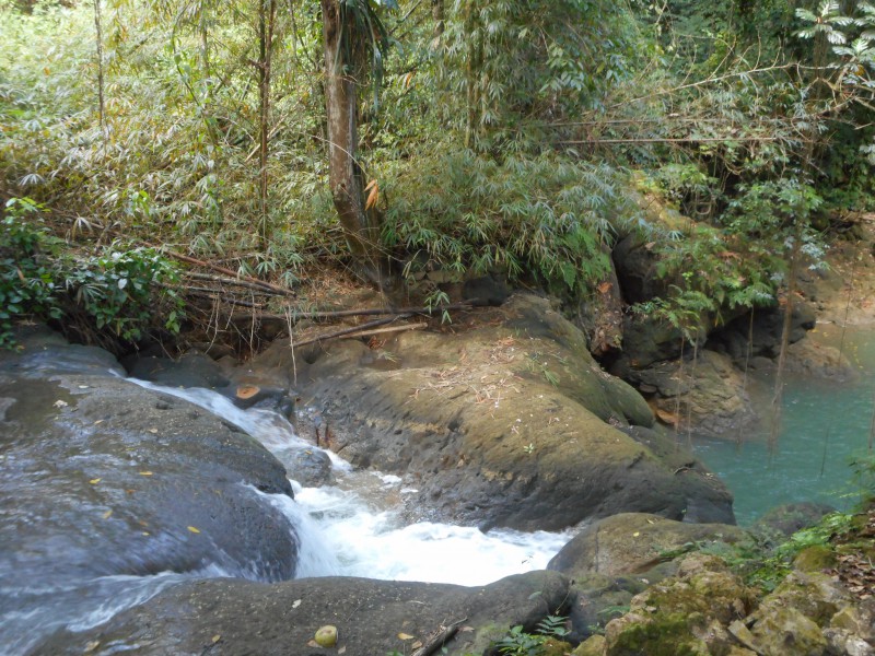 Bumpkins on a river cruise in Jamaica. Seriously