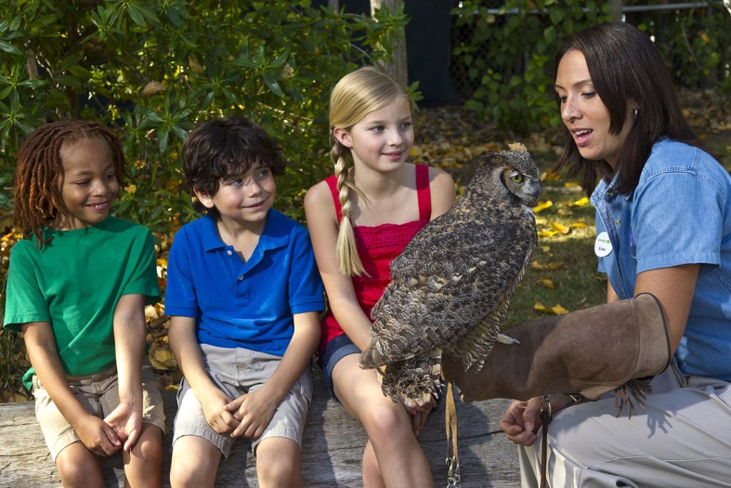 Learning about Owls at the San Diego Zoo