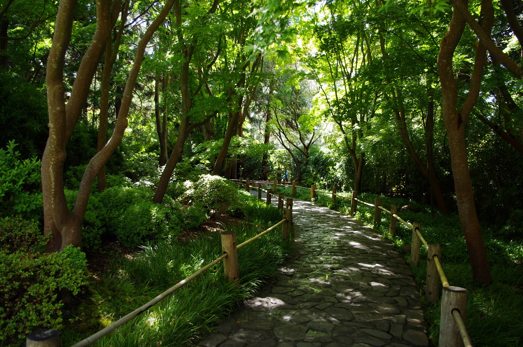 A lane in the Japanese Tea Garden, San Francisco