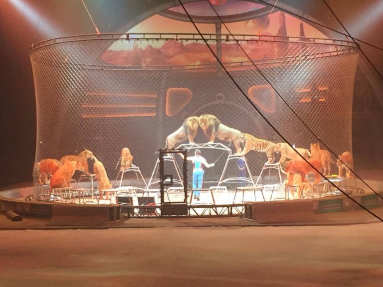 The Greatest Show On Earth Is Out of This World