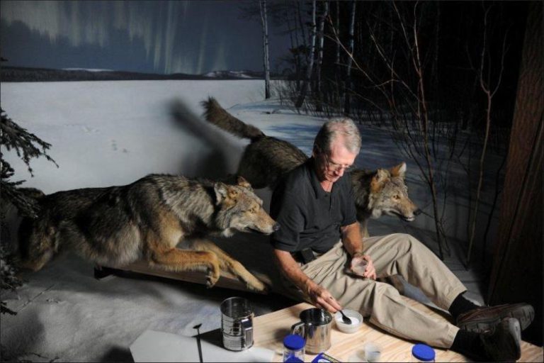 Becoming a junior conservationist at one of America’s premier museums