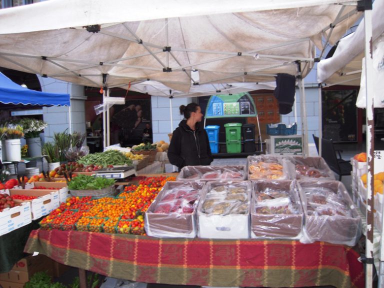 Understanding where the food comes from