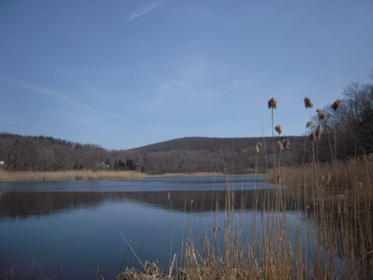 Mom and dad’s excellent adventure