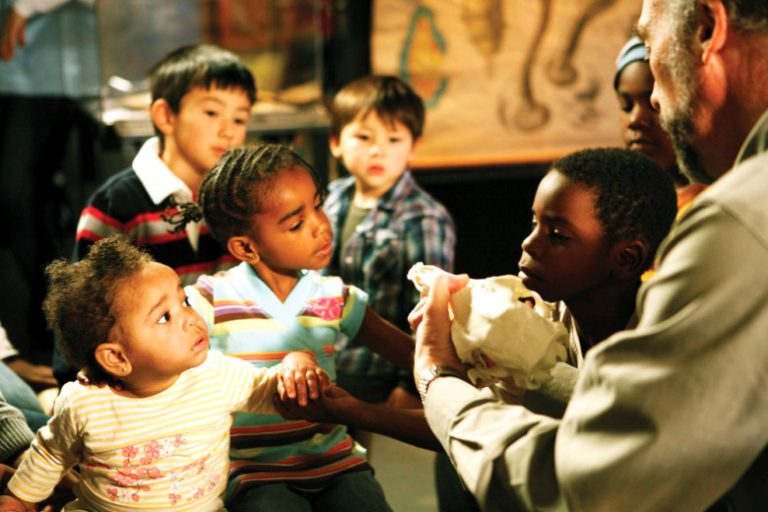 To San Francisco’s California Academy of Sciences, the Greenest Museum in the Country