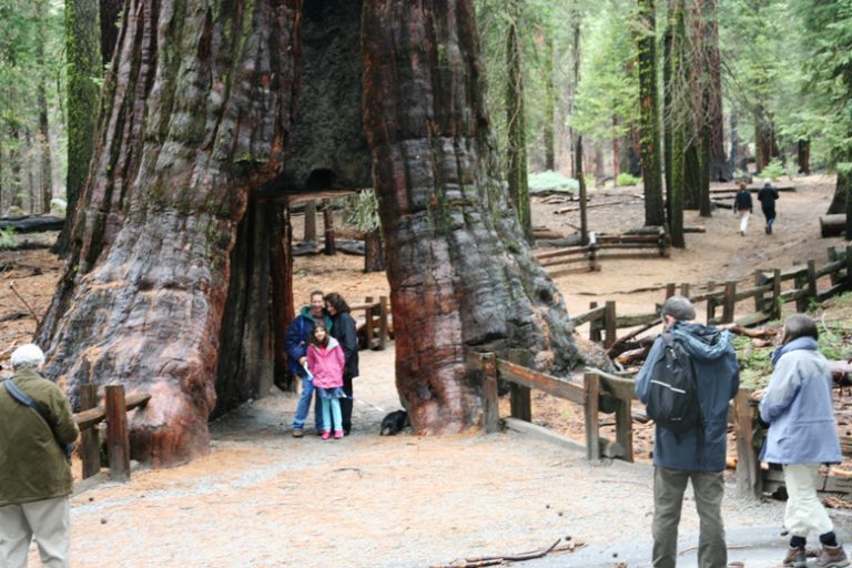 A quick trip to Yosemite National Park