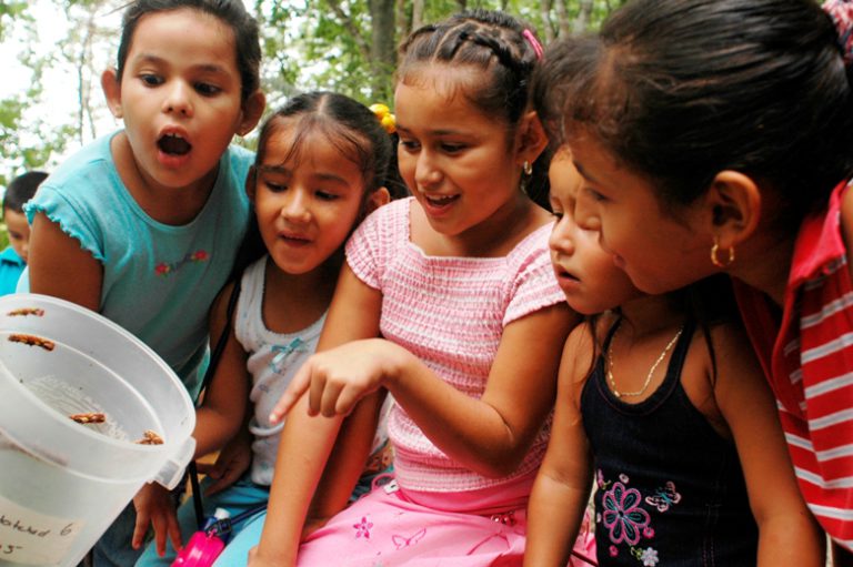 Chaa Creek — started small before “eco” was a word