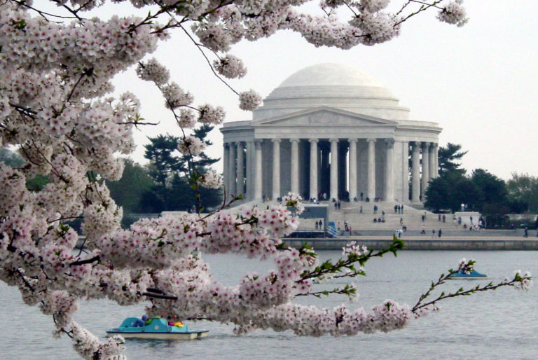 As spring breaks grow in popularity, how to plan one on the fly