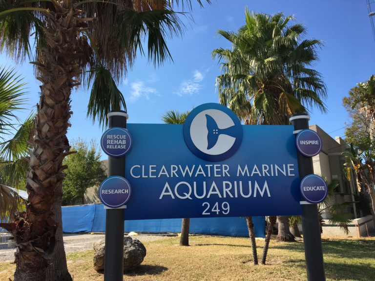 How they make it all happen in Clearwater FL