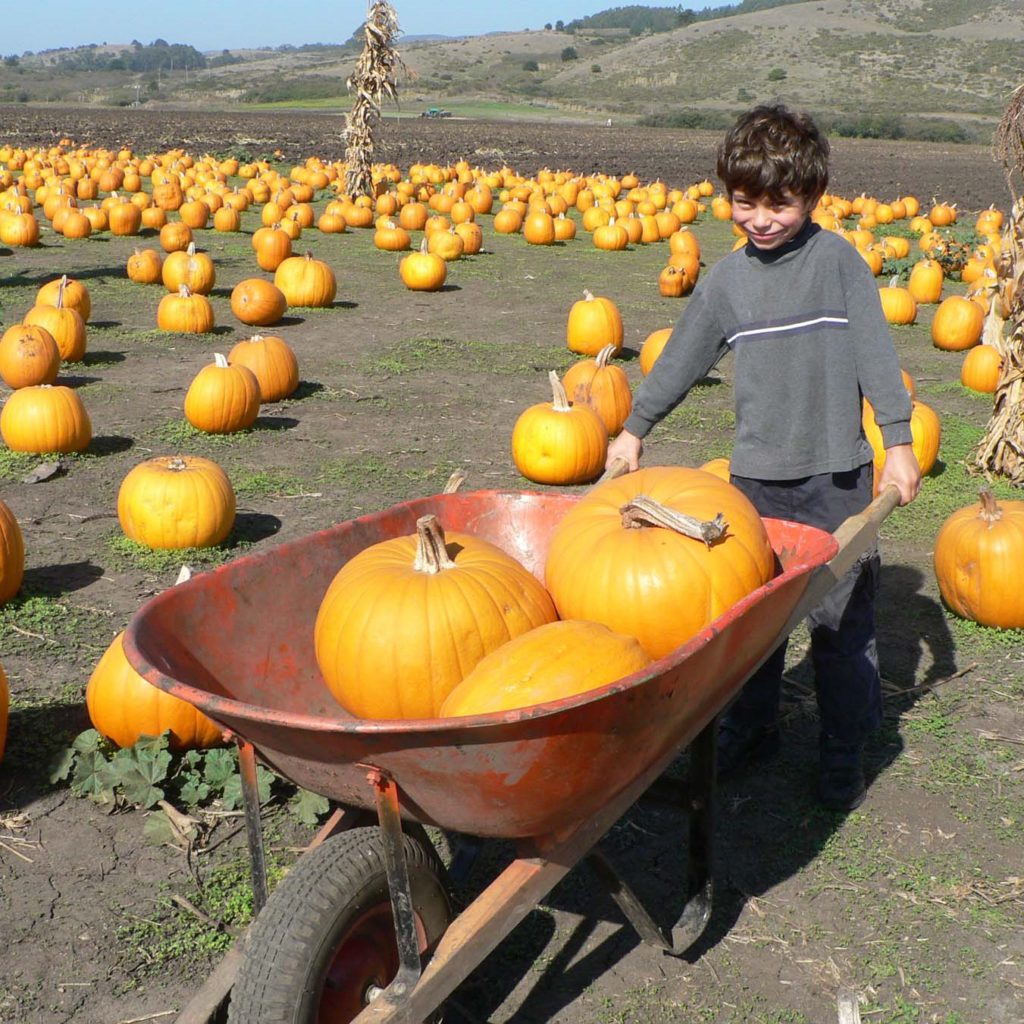 Columbus Day weekend celebrate all things pumpkin at the Half Moon Bay Art and Pumpkin Festival, one of the largest and oldest local festivals in California