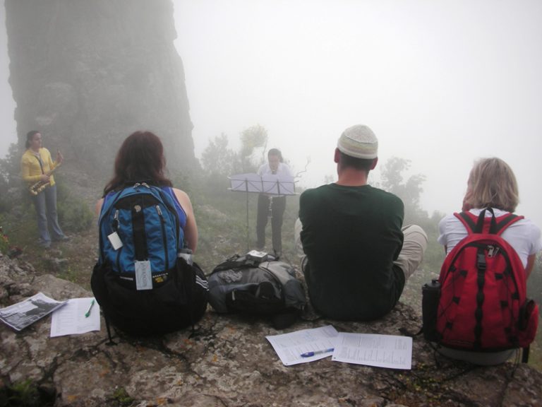 A concert in the foggy woods