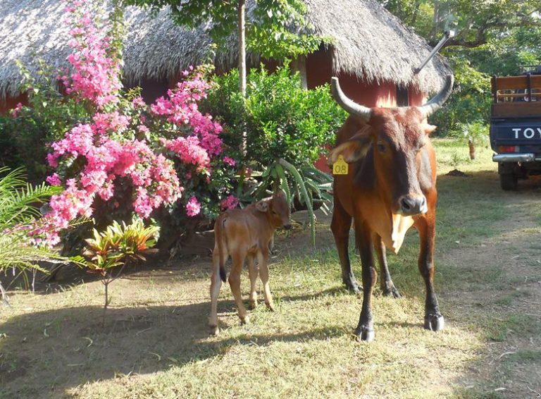 Families discover benefits of ecotourism in Nicaragua