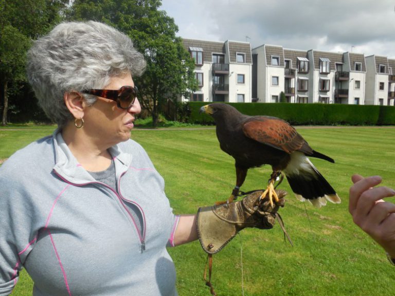 At Gleneagles, falconry is more than for the birds