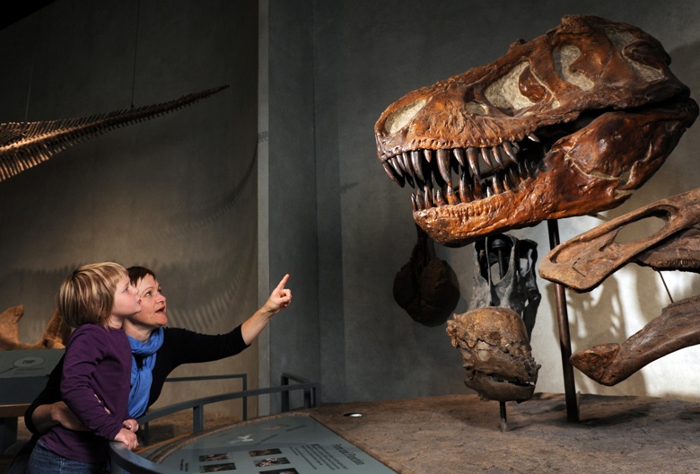 Dinosaurs aplenty at the Denver Museum of Natural Science