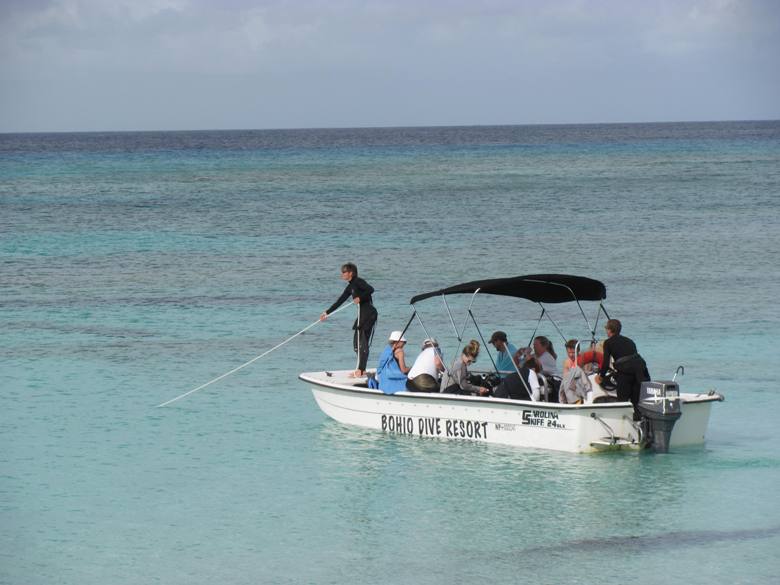 Divers come from around the world to Grand Turk Island
