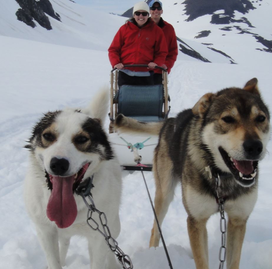 dogsledding