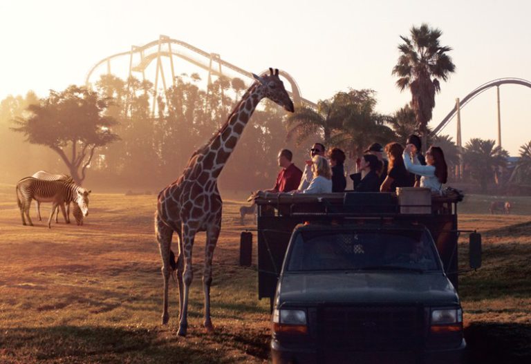 Families get up close and with the animals at Busch Gardens in Tampa