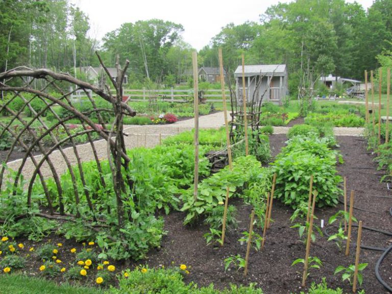 Maine’s Hidden Pond resort is designed for 21st Century families