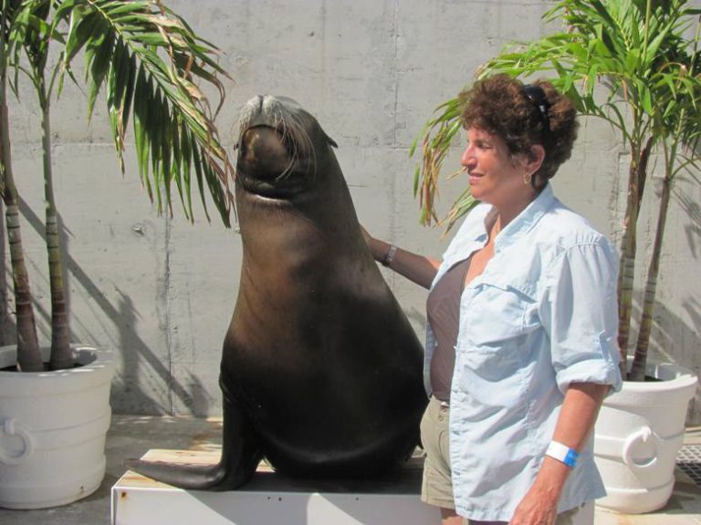 Dancing with Dolphins, kissing Sea Lions in the Bahamas