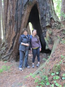 Eileen and Reggie pause in the redwood grove