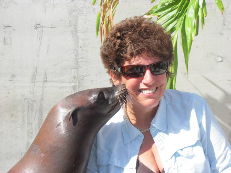 Interacting with rescued marine mammals at Atlantis in the Bahamas