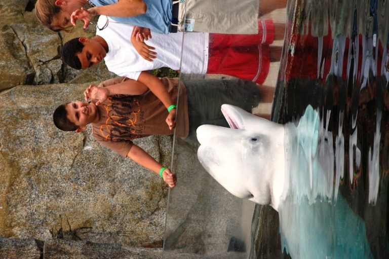 Enesi and Jason, from The Fresh Air Fund, at the Mystic Aquarium in Connecticut in 2011