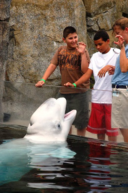 Enesi and Jason, from The Fresh Air Fund, at the Mystic Aquarium in Connecticut in 2011