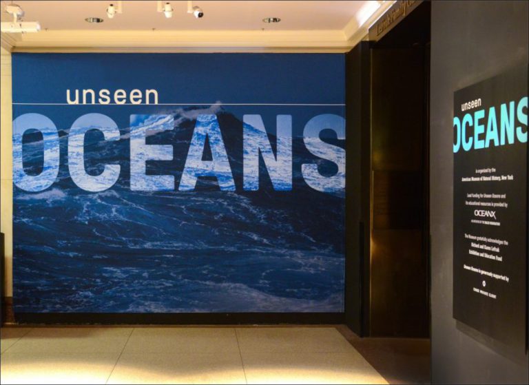 Seeing the Unseen Oceans at the American Museum of Natural History
