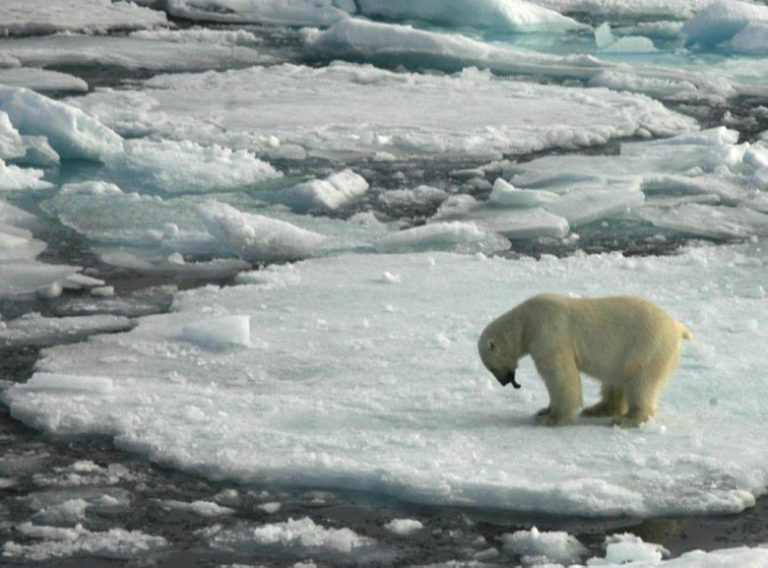 Frozen Planet brings back memories of the Arctic