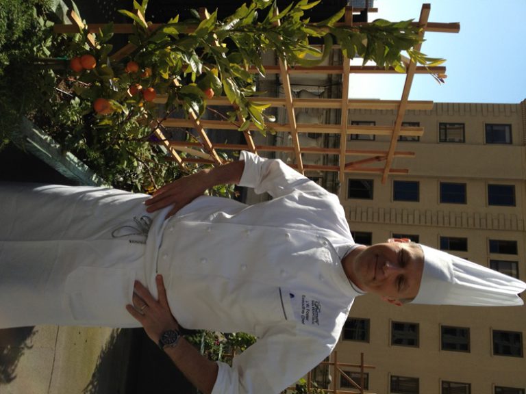 Six days in San Francisco and Redwood country