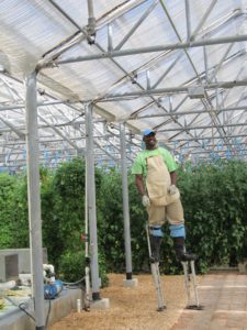 Farming on stilts in the hydroponic garden at CuisinArt Resort Anguilla