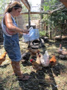 Mel feeding the chickens