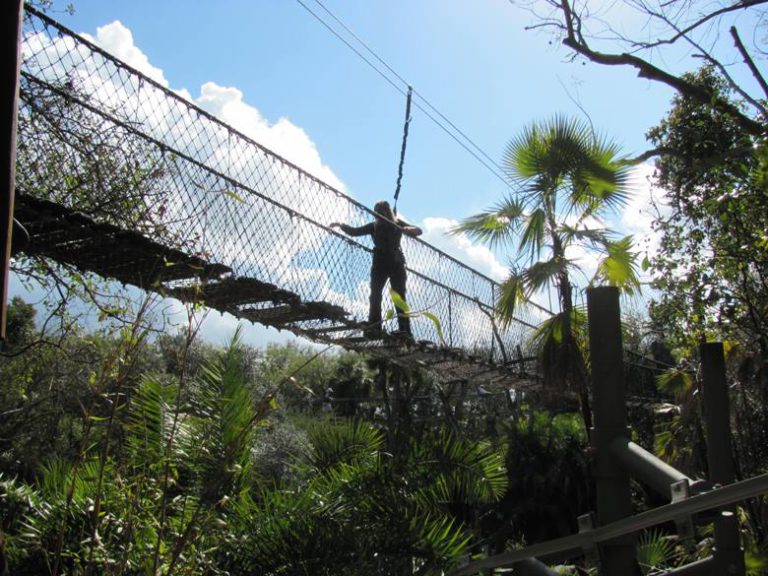 Two days at Disney World and two on new Disney Dream