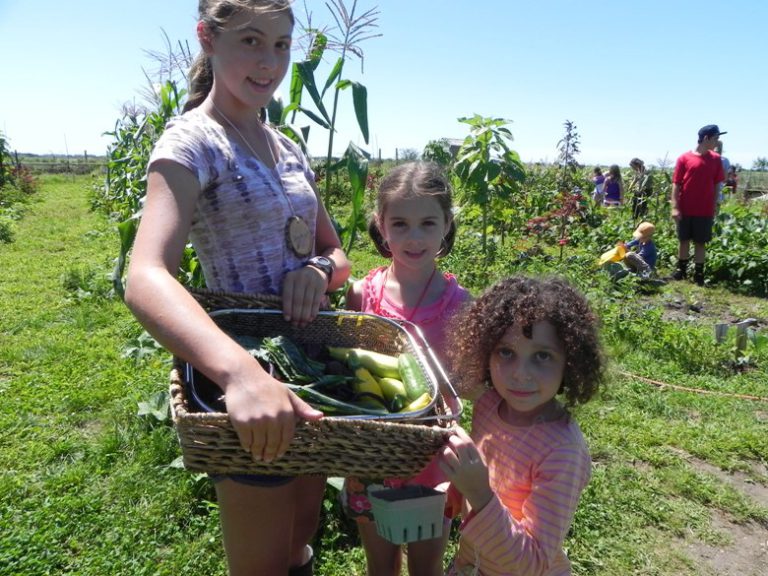 Farm-to-table family fun on Martha’s Vineyard