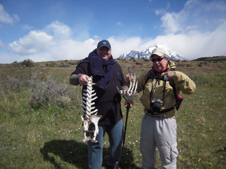 A stroll through Guanaco and Condor country